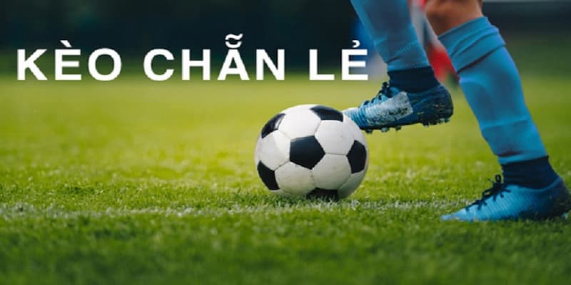 Các loại kèo chẵn lẻ phổ biến tại kèo nhà cái